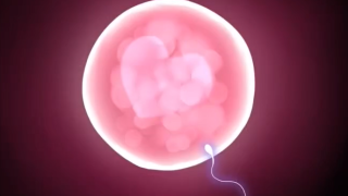 Thumbnail of post image 167