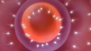 Thumbnail of post image 037